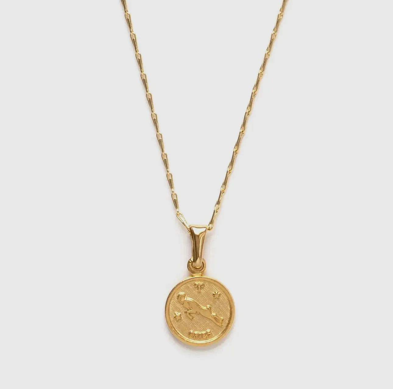 Tiny Zodiac Medallion Necklace